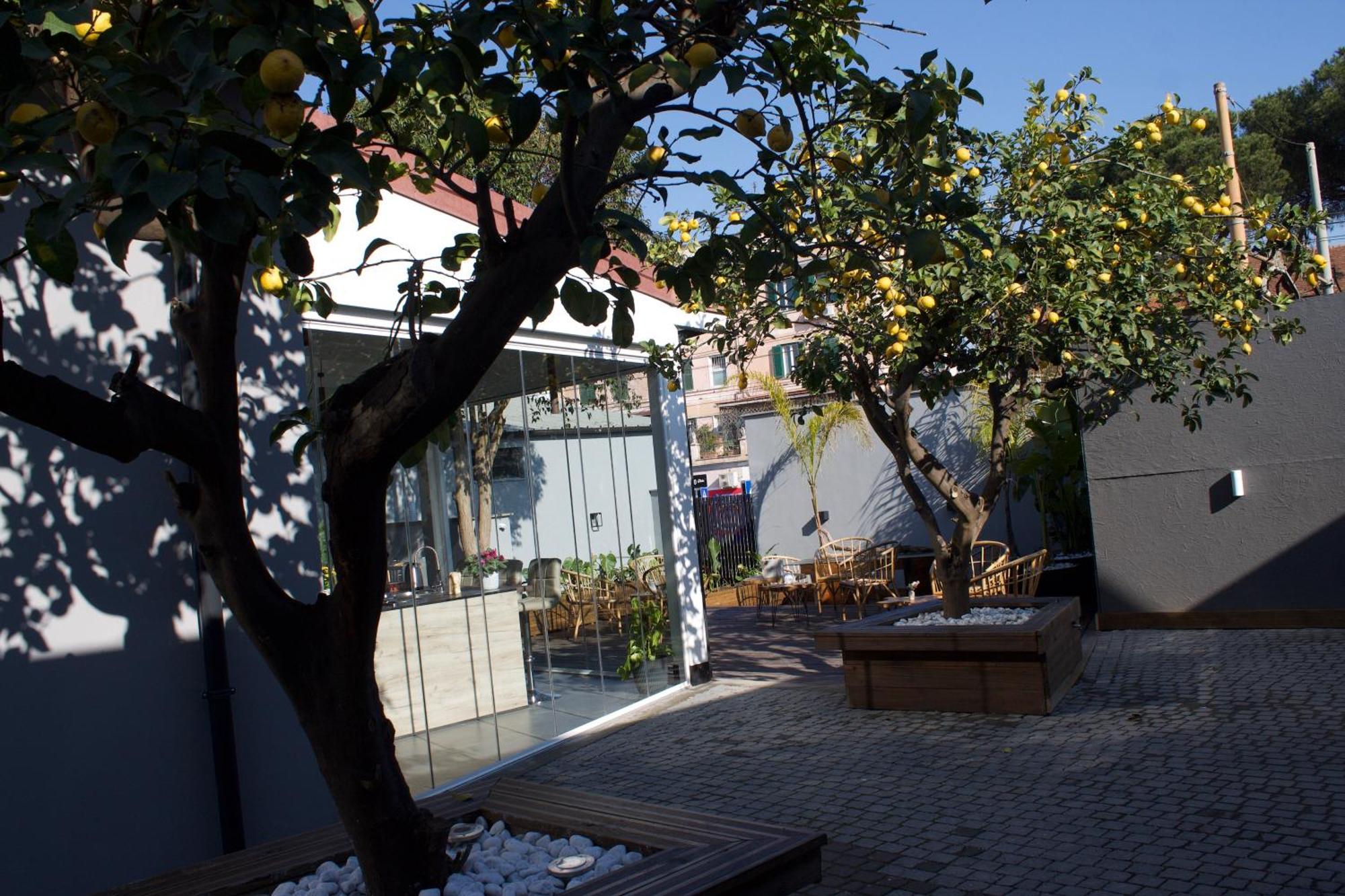 Domus Matris Guest house